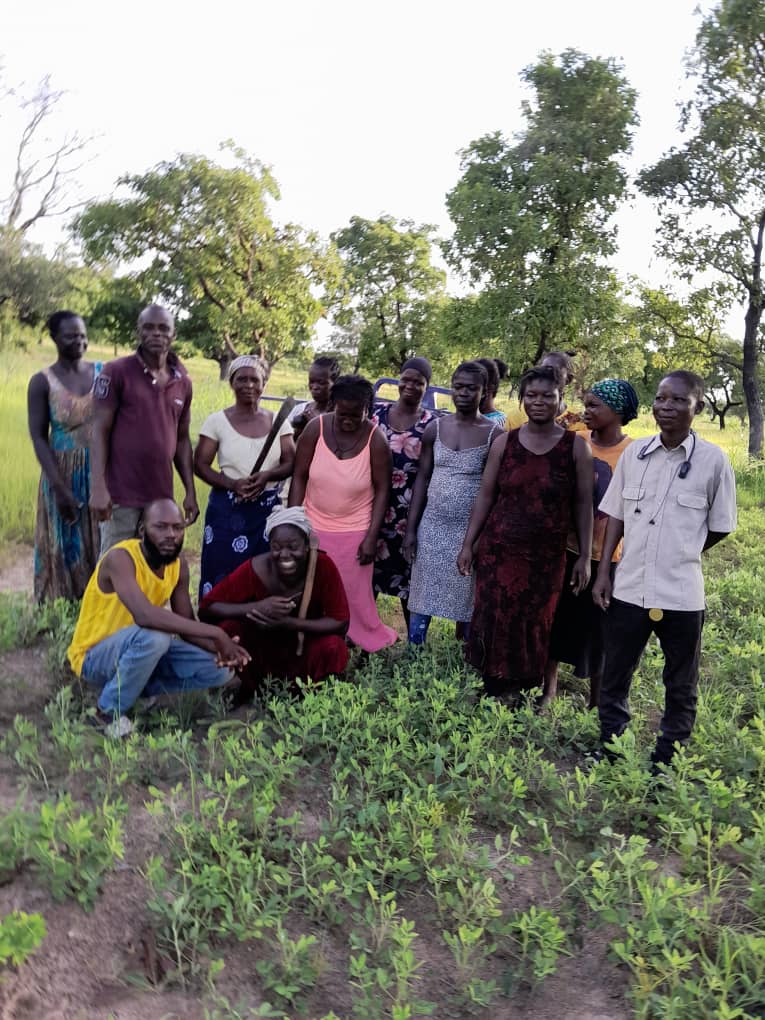 Shea and Mahogany Planting (Tibani) photo 5