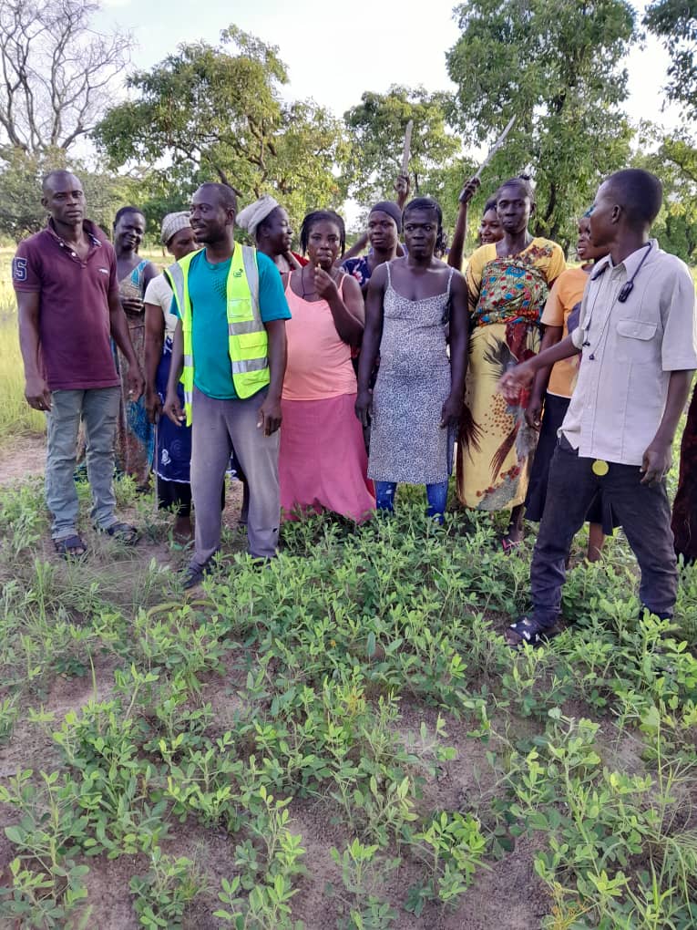 Shea and Mahogany Planting (Tibani) photo 6